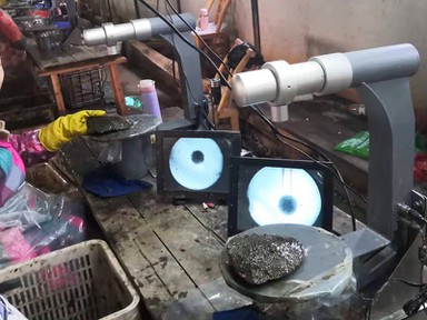 Detecting river clam pearls Detecting river clam pearls